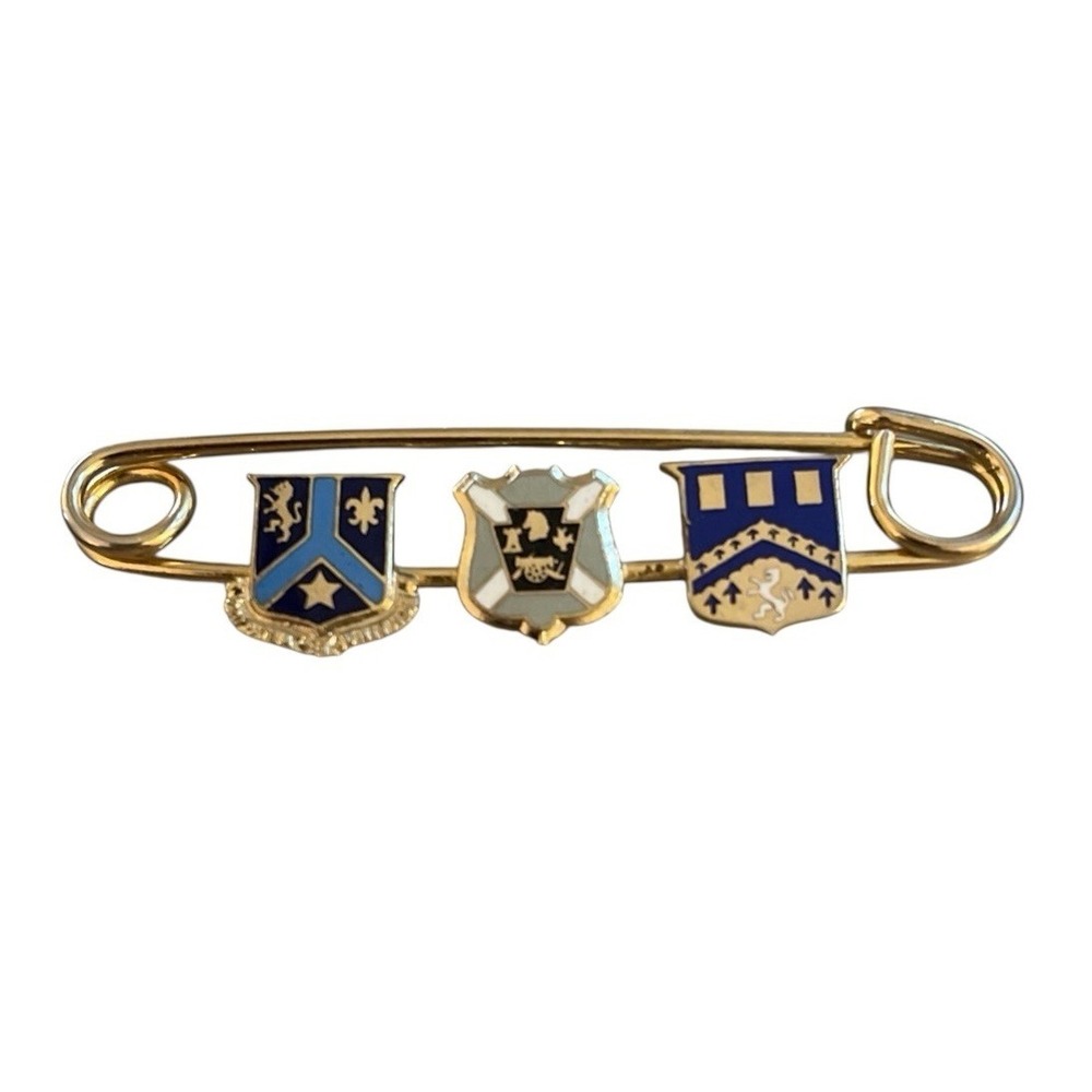 Vintage Pro Patria Et Unitas Gold Tone Medallion Charm Enamel‎ Brooch Pin 2.5"